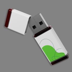 Flash drive